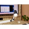 Elgato-Wave-Neo-Bianco-Microfono-da-tavolo--ELGATO-WAVE-NEO-MICROPHONE-