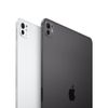 Apple-iPad-Pro-Apple-M-2-TB-279-cm--11--16-GB-Wi-Fi-6E--802.11ax--iPadOS-17-Argento--IPAD-PRO-11-WIFI-2TB---SILVER-