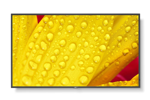 NEC-MultiSync-M551-2-Design-chiosco-127-cm--50---LED-4K-Ultra-HD-Nero-Processore-integrato
