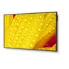 NEC-MultiSync-M551-2-Design-chiosco-127-cm--50---LED-4K-Ultra-HD-Nero-Processore-integrato