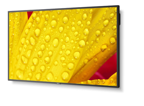 NEC-MultiSync-M551-2-Design-chiosco-127-cm--50---LED-4K-Ultra-HD-Nero-Processore-integrato