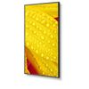 NEC-MultiSync-M551-2-Design-chiosco-127-cm--50---LED-4K-Ultra-HD-Nero-Processore-integrato