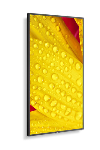 NEC-MultiSync-M551-2-Design-chiosco-127-cm--50---LED-4K-Ultra-HD-Nero-Processore-integrato