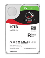 Seagate-IronWolf-Pro-3.5--10000-GB-Serial-ATA-III