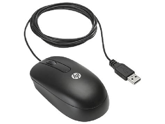 HP USB Optical Scroll mouse Ufficio Ambidestro USB tipo A Ottico 800 DPI
