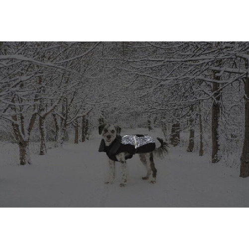 img-66968f7d-4dfc-407c-82a8-2474ef53c7b0.png