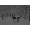img-0f68ab19-6778-416c-931c-0482255338ce.png