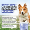 img-81d1ad80-de81-47a3-a9d7-98ebe435f04d.png