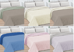 img-11907103-c373-45be-8f21-04d2d5fa082f.png