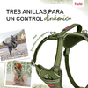 img-965de624-5fb1-42f6-af41-a38b02e6cc1c.png