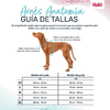img-9ee2e1fb-c8ce-4ce0-91d3-211ca0f7f267.png