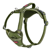 img-fe3ff909-8910-4431-9dfe-fd3c445e044b.png