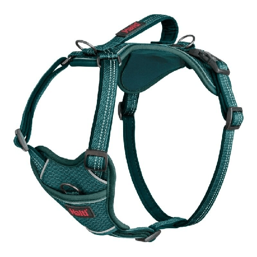 Company of Animals Imbracatura per Cani Company of Animals Turchese M 35-55 cm