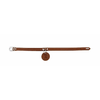 img-17078a0b-a3db-4323-aabb-0e76e7db2f57.png