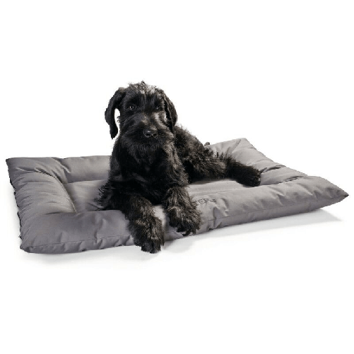 img-edb34a38-086a-4edd-a00f-2ec2c5509be1.png