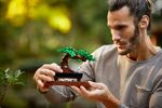 LEGO-Creator-Expert-Albero-Bonsai---10281