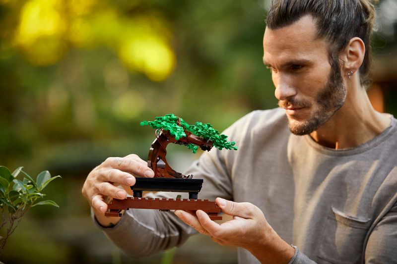 LEGO-Creator-Expert-Albero-Bonsai---10281