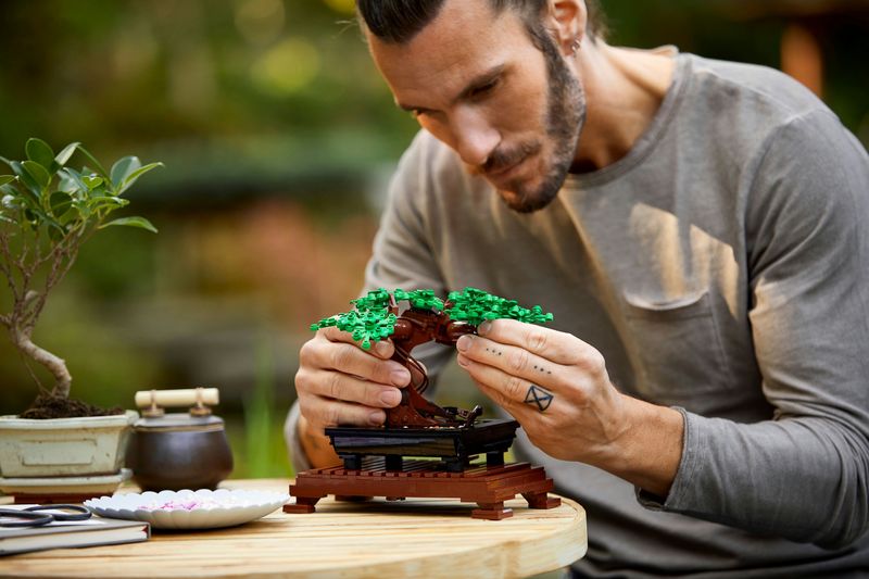 LEGO-Creator-Expert-Albero-Bonsai---10281