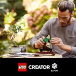 LEGO-Creator-Expert-Albero-Bonsai---10281