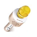 Technaxx-PRO-BT-X35-Oro-Argento-Microfono-per-karaoke