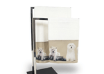 img-a9b838df-8b22-41d5-bd5b-40884cfdc8fe.png