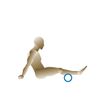 Rovera-Foam-Roller-rullo-per-automassaggio-muscolare