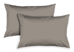 img-01c5ce43-1732-4690-9b3b-301deee48f80.png