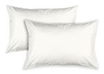 img-c0de348c-0ff1-4cf8-9e09-1ffd15e18094.png
