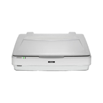 Epson Expression 13000XL Scanner piano 2400 x 4800 DPI A3 Bianco