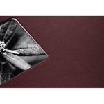 Hama-Fine-Art-album-fotografico-e-portalistino-Bordeaux-50-fogli-10-x-15-cm