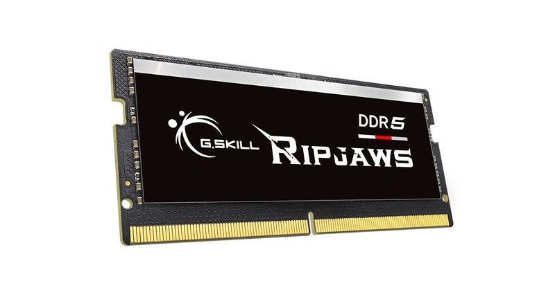 G.Skill-Ripjaws-F5-5200S3838A16GX1-RS-memoria-16-GB-1-x-16-GB-DDR5-5200-MHz