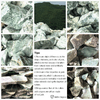 img-abb1b194-445d-4a9e-943a-256101f182a3.png