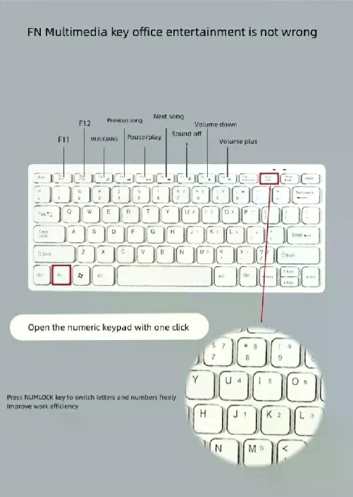 img-983991ee-660c-485f-8060-f3be908fef53.png