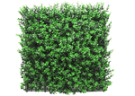 img-32071433-77da-4841-acc2-ff25fb2c4902.png