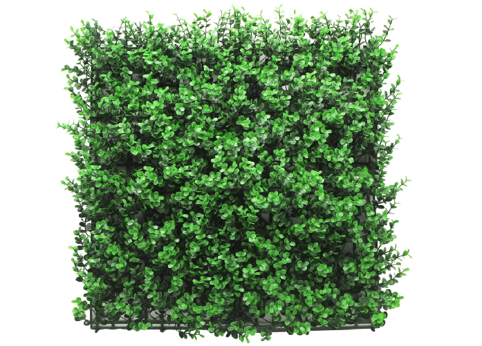 img-32071433-77da-4841-acc2-ff25fb2c4902.png