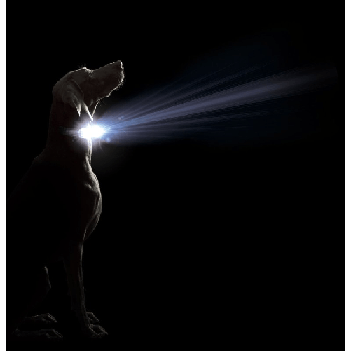 img-4ca8b9b7-eaf6-47ee-a5c7-d77ea5c39d7c.png