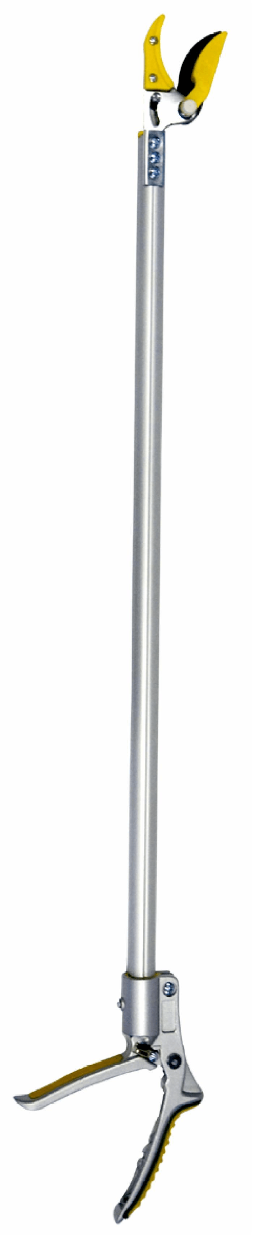 img-163b11a8-aa8a-42e5-bb48-68071850537d.png