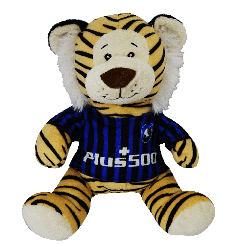 img-49f4bc2e-1f44-44db-b19e-a2693bec2372.png