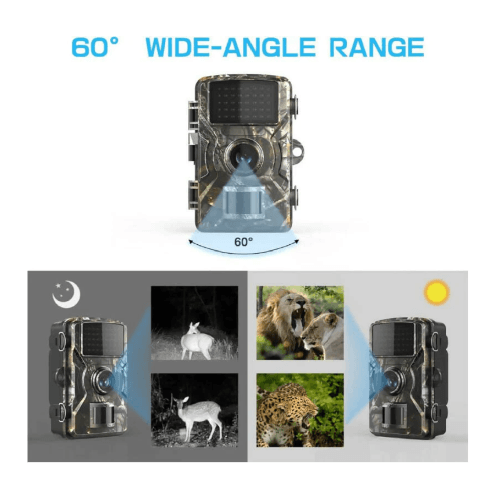 img-4aa6b137-4308-44af-8111-ae29c3fbed76.png