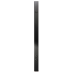 APC-AP8858-unita--di-distribuzione-dell-energia--PDU--20-presa-e--AC-0U-Nero