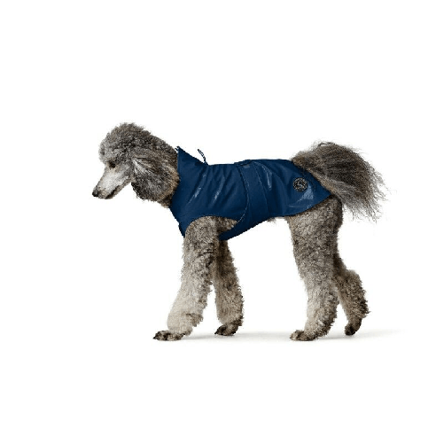 img-74a17540-472f-4f57-b601-b6763b19b4ff.png
