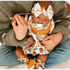 img-1ba1d33c-bece-46fc-be9b-833ced860045.png