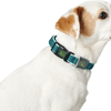 img-3b4c8d62-e0ab-4056-bbd8-395bc5499fb1.png