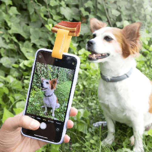 InnovaGoods Clip per Selfie per Animali Domestici Pefie InnovaGoods