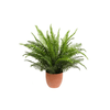 img-e5a1957a-dec8-4356-bcfd-15e536db8e65.png