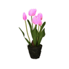 img-9bb0d2aa-06b9-4379-b825-97169a67f27e.png