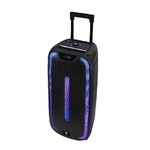 Woxter Altoparlante Bluetooh Portatile con Microfono Woxter Rock'n'Roller ST Nero