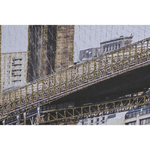 img-217446b4-a03d-491c-9622-b774b23cff78.png