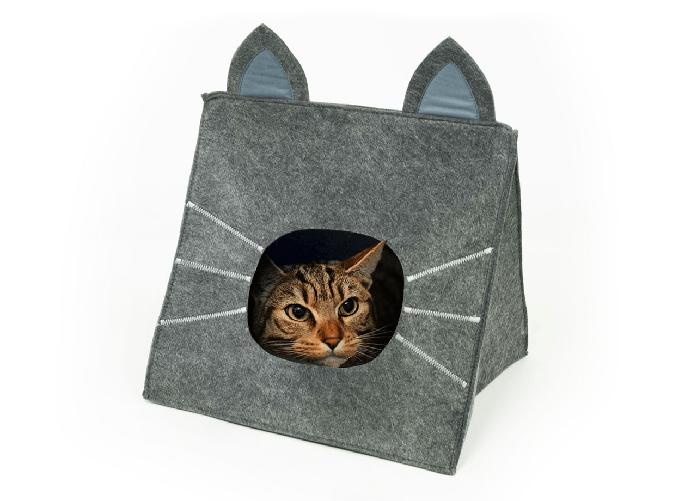 img-ef7f951a-b438-4364-b61e-8443619dd700.png