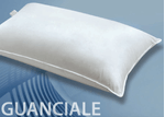 img-6abf035a-8a26-4491-9dd4-357bfed946a5.png
